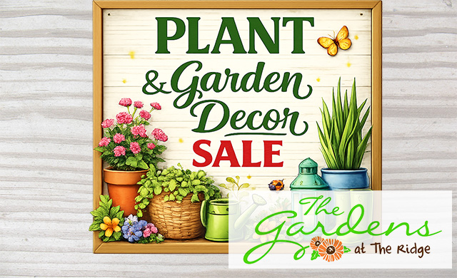 The Ridge - Kerrville